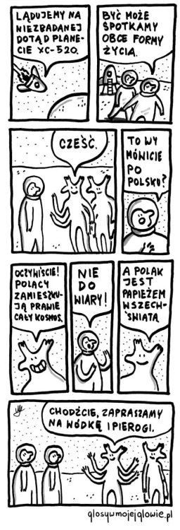 wódkaipierogi.jpg