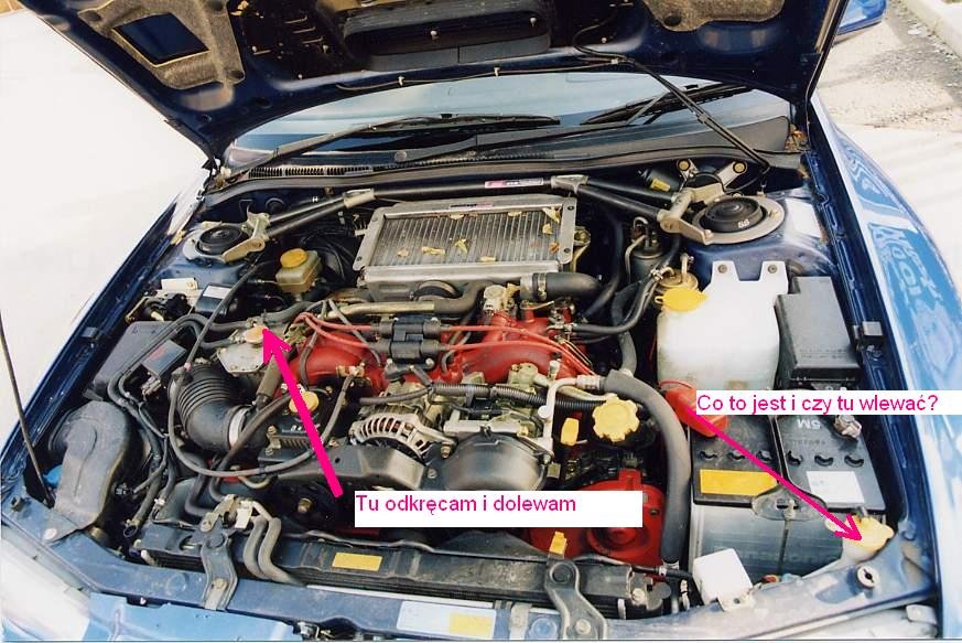 Check Engine+Temperatura W Samochodze - Impreza - Forum Sip